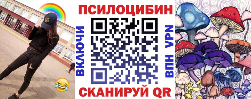 купить наркотик  Нолинск  Псилоцибиновые грибы прущие грибы 